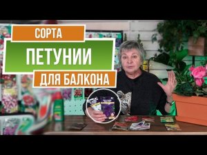 Лучшие Петунии для Балкона ✔️ Петунии в Вазоне ✔️ Цветы на Балконе