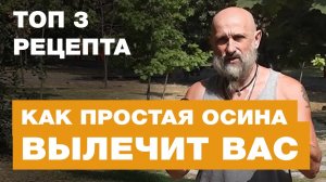 ТОП 3 Рецепта  - На Что Способна ОСИНА в Народной Медицине?