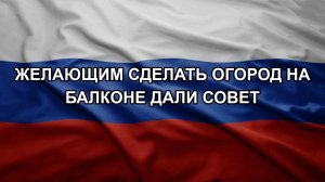 Желающим сделать огород на балконе дали совет