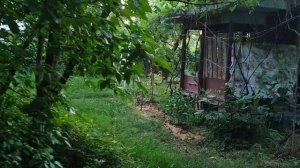 Таша Муляр.Это не обзор канала и не критика,а разговор о блогерстве и умении держать удар. 26.06.26