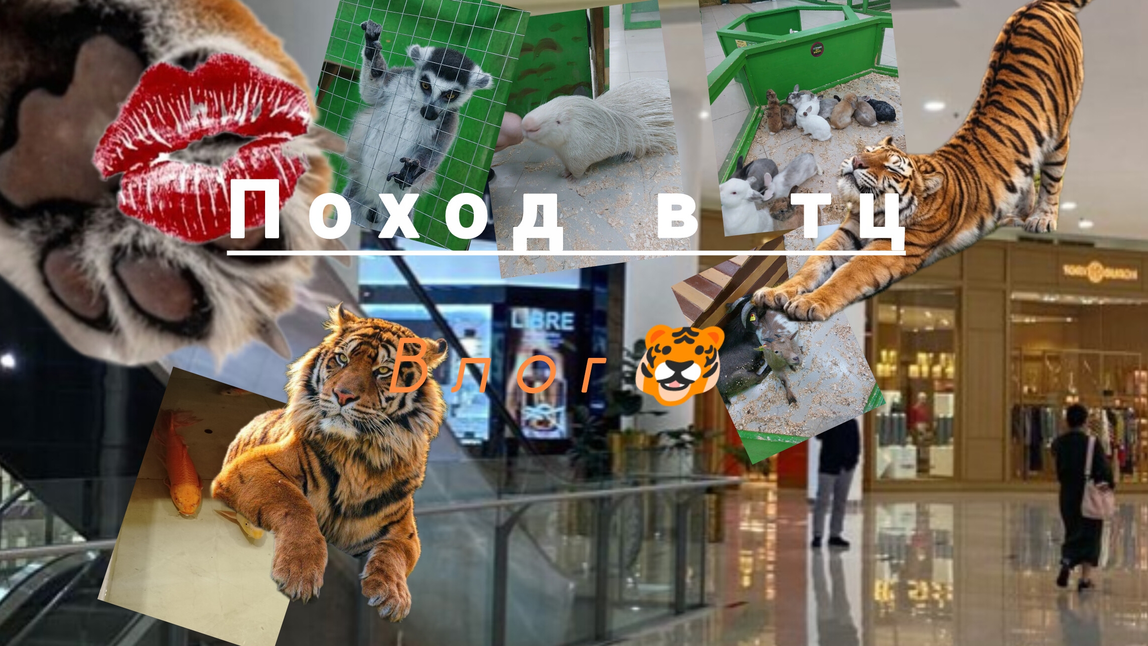 Поход в тц:/ВЛОГ🐅✨🌿