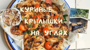 Куриные крылышки на углях. Деликатес для больших и маленьких.