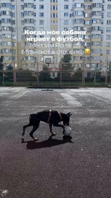 ЛУЧШАЯ ФУТБОЛИСТКА  ⚽️