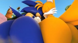 Sonic and Tails farts animation