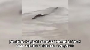 Рыбаки Вытащили Это Существо Из Реки… Оно Начало Двигаться Так, Как Не Должно Ни Одно Живое Существо