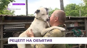 Соцпредприниматель из Спасска-Дальнего знакомит людей с хаски-терапией
