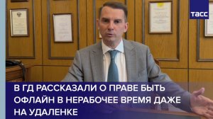 В ГД рассказали о праве быть офлайн в нерабочее время даже на удаленке