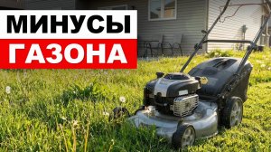 МИНУСЫ газона / Чем ЗАМЕНИТЬ газон на участке?
