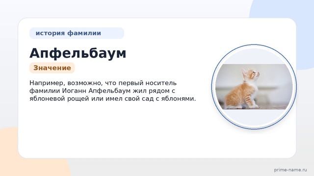 Фамилия Апфельбаум: происхождение, значение и склонение