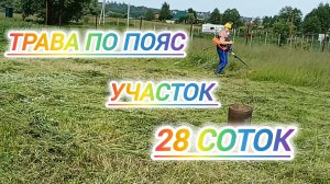 ТРАВА ПО ПОЯС. УЧАСТОК 28 СОТОК