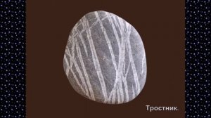 Живые камни.