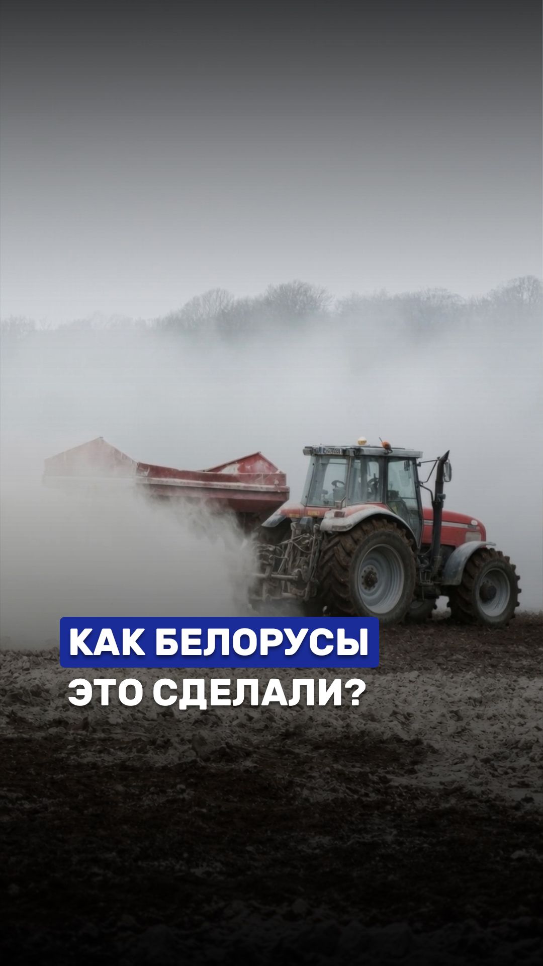 Что можно вырастить на заброшенных землях?😳 #беларусь1 #чернобыль #чаэс #радиация #чернобыль40лет