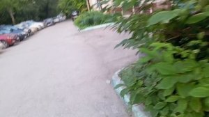 Мороженное из манго и цветочки на балкончик