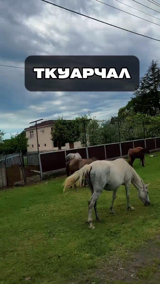 Ткуарчал в Абхазии