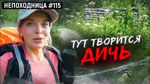 МРАЧНЫЕ ТРОПЫ И ЗАБРОШЕННЫЕ ИЗБУШКИ В ЛЕСУ. СЛЕДЫ МЕДВЕДЯ. ТЕЛЕФОН И НАВИГАТОР СЕЛИ. НЕПОХОДНИЦА