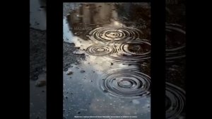 Видео шедевры ИИ