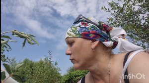 ДВА ДОМА В ДЕРЕВНЕ,ИСПУГАЛАСЬ,ЧТО Я НАШЛА,ЦИПА ГУЛЯЕТ