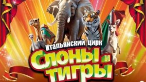 ВЛОГ. Итальянский Цирк в Кисловодске. Слоны и Тигры