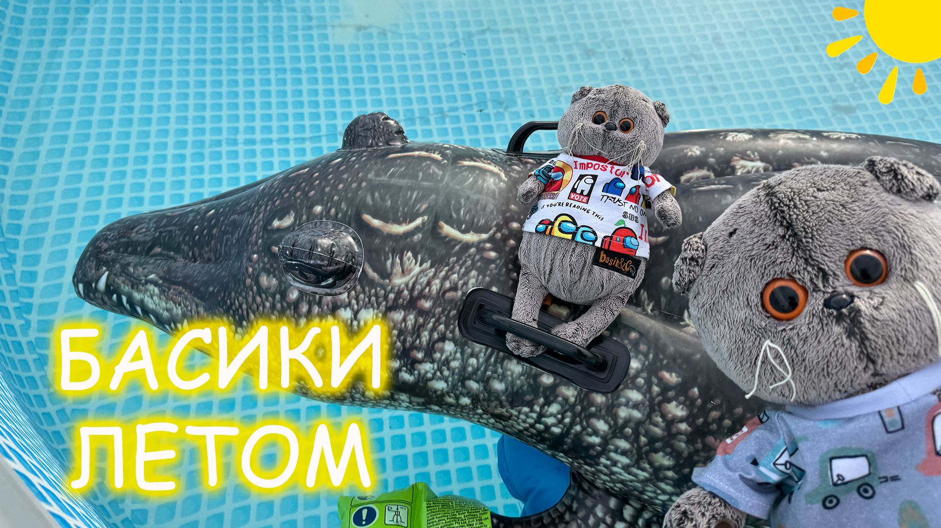 Басик рассказывает о своих планах на лето и плавает в бассейне😽⭐🚨 Котики Басики летом смотреть онлайн