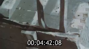 9 лет и 51 день