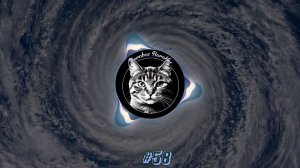 #58