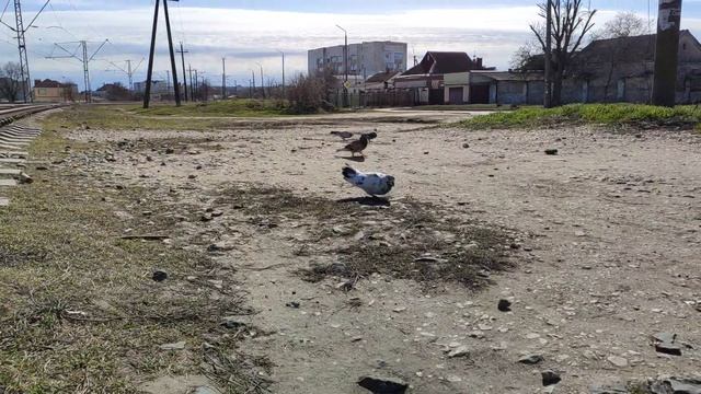Один из дней города Евпатории | 16 марта 2022 год | Крым ХАН БАТОН XAH 6ATOH | VID_20220316_144123
