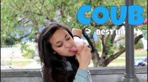 COUB №339