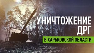 Тепловизор указал цель: как «Град» уничтожил ДРГ ВСУ