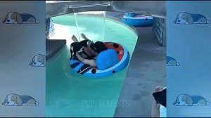 Всячинки