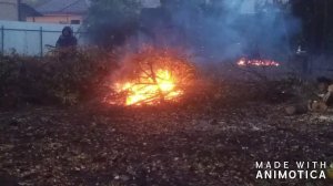 Приводим в порядок земельный участок в СНТ/Спил деревьев/Доверили шашлык