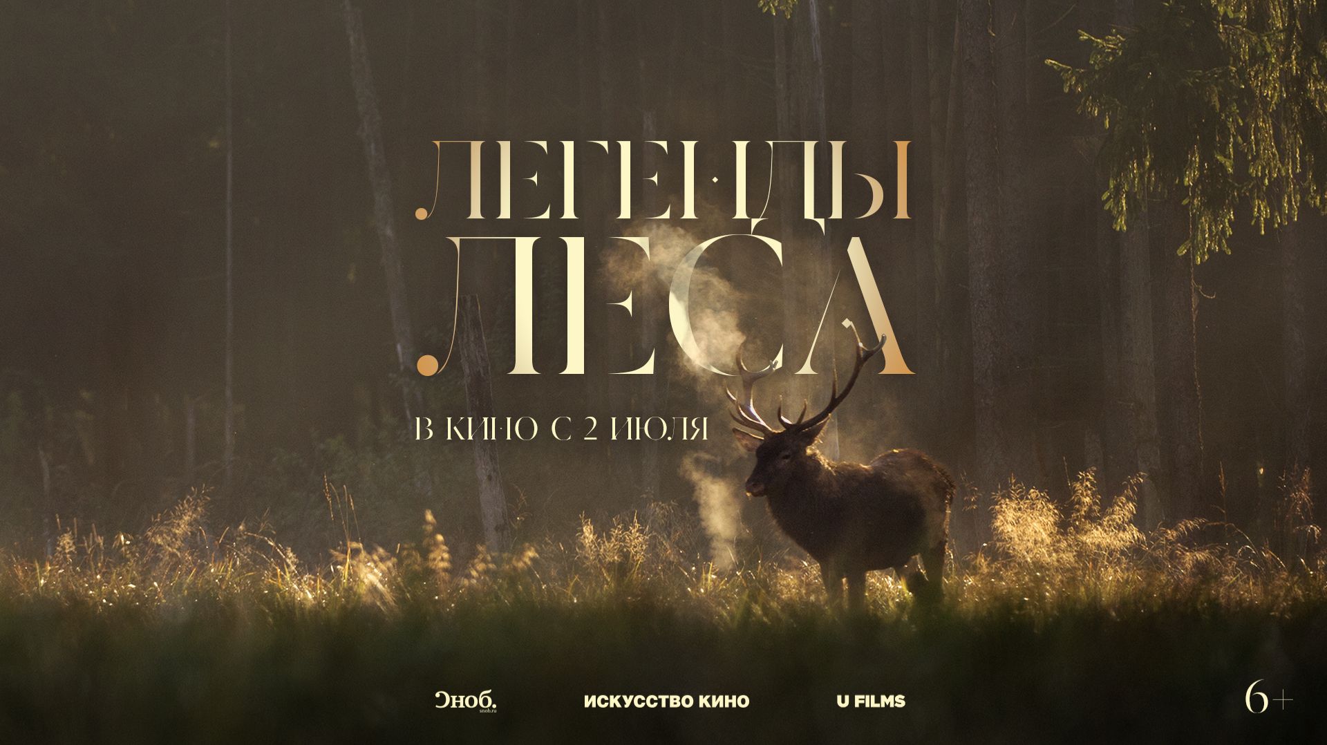 Легенды леса 6+ смотреть онлайн
