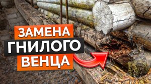 ОДНА ОШИБКА И ВАШ ДОМ СГНИЕТ! / Как проверить, что стены в доме гниют? ЗАМЕНА ВЕНЦА