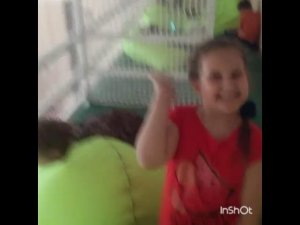 Влог: не открывай двери чужим!( часть 1).