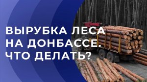 На Донбассе массово вырубают лес. Что делать, когда уничтожают деревья