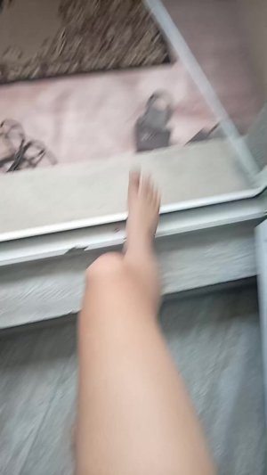 С кошками