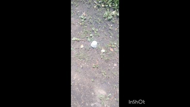 Вот наглядно видно, как воспитывают родители, своих детей👎👎👎...!!!