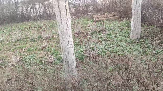Один из дней города Евпатории | 9 марта 2022 год | Крым ХАН БАТОН XAH 6ATOH | VID_20220309_143431