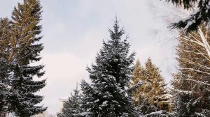 Фильм «Сквозь года» Режиссер Станислав Амбарцумов