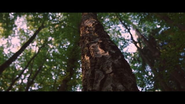 Большой участок V3-EM-FINAL-VO2-Mix (12) смотреть онлайн
