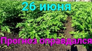 Редкий случай - синоптики не обманули
