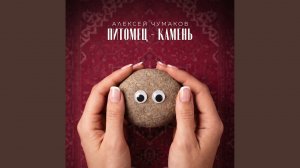 Питомец-камень
