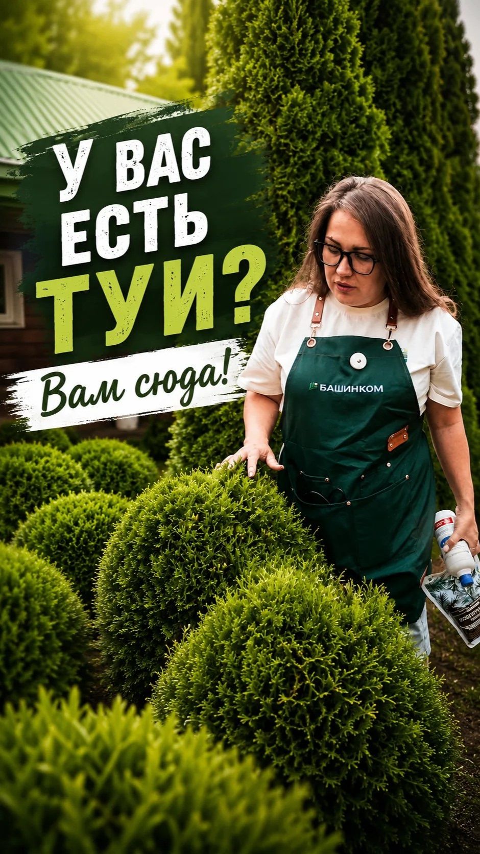 Как понять, что туя в стрессе? Сигналы, которые видят не все