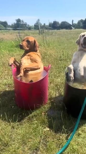 Релакс))) смотреть онлайн