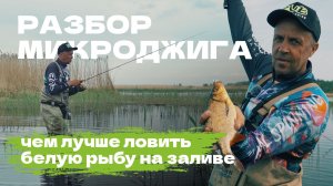 Разбор микроджига: чем лучше ловить белую рыбу на заливе?