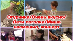 Огурчики/Очень вкусно/Миша насмешил.концерт/Мои котлетки/Болталка