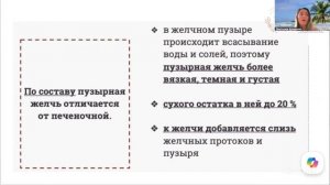 26.06