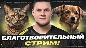 🔥НАТИСК с АКТЁРОМ! ● ДОНАТИМ СОБАКАМ!