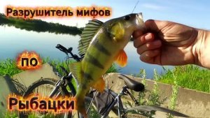 ПРОВЕРКА МИФА ЧТО ОКУНЬ НАЧИНАЕТ КЛЕВАТЬ С 04-00, РАЗРУШИТЕЛЬ МИФОВ Автор фильма Александр Самарин.