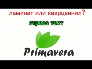ламинат или кварцвинил? что более устойчиво к царапинам?