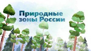 27. Природные зоны России